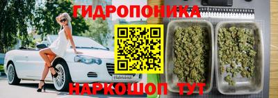 амф Ликино-Дулёво