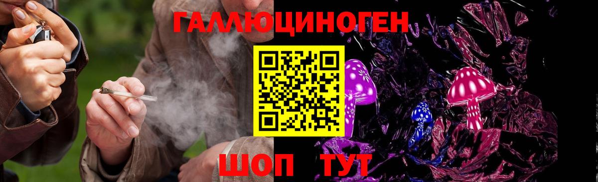 Псилоцибиновые грибы GOLDEN TEACHER  Вход с VPN  Волгодонск 